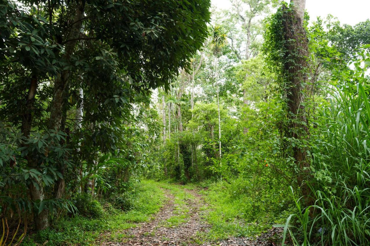 提喀迪Mystic Trees, Kumily公寓 外观 照片